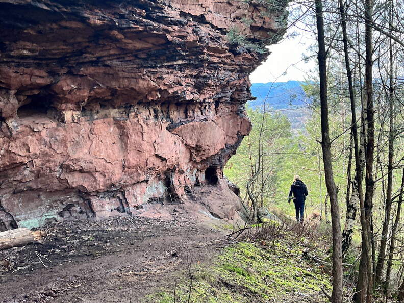 24-02-26 12-34-44 8699